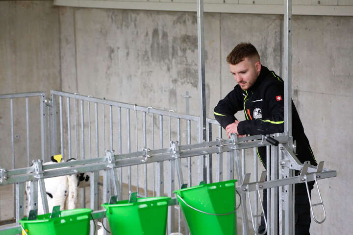 KERBL Modulare Zaunaufstallung Fanggitter